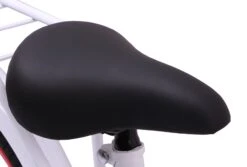 AMIGO Sweetheart 20 Inch Girls Coaster Brake White -Discounted Bicycles amigo sweetheart 20 inch 29 cm meisjes terugtraprem wit 6 307211 20190802085856