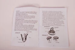 Volare Bicycle Helmet Disney Minnie Bow-Tique 52-56 Cm Pink 19 Volare Bicycle Helmet Disney Minnie Bow-Tique 52-56 Cm Pink -Discounted Bicycles disney fietshelm minnie bow tique 52 56 cm roze 10 1016405 1658393492