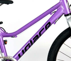 Volare Dynamic 20 Inch Girls 7SP Rim Brakes Purple 14 Volare Dynamic 20 Inch Girls 7SP Rim Brakes Purple -Discounted Bicycles volare dynamic 20 inch 27 cm jongens 7v v brakes paars 5 1017723 1667404062