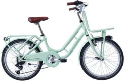 Wings Retro 22 Inch 34 Cm Girls 6SP Rim Brakes Light Green
